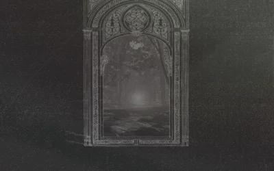 STELLAR FOREST first album